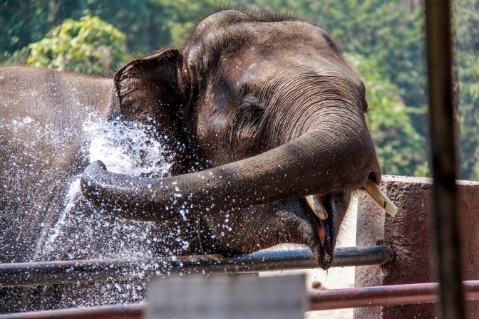 Explore Bangkok on a Budget: Affordable Family-Friendly Tours for Every Adventure!