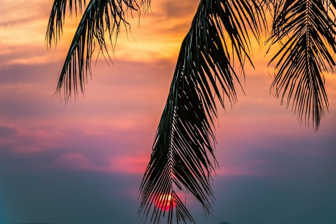 Literary Landscapes: Discover Bangkok Through the Pages of Its Best Books