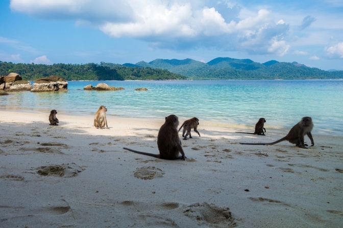 Escape to Paradise: Unbelievable Thailand Travel Package Deals for 2025!