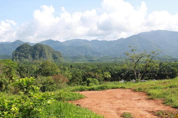 Exploring the Paradise: Your Ultimate Guide to Phuket’s Hidden Gems